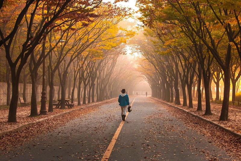 Walking Meditation
